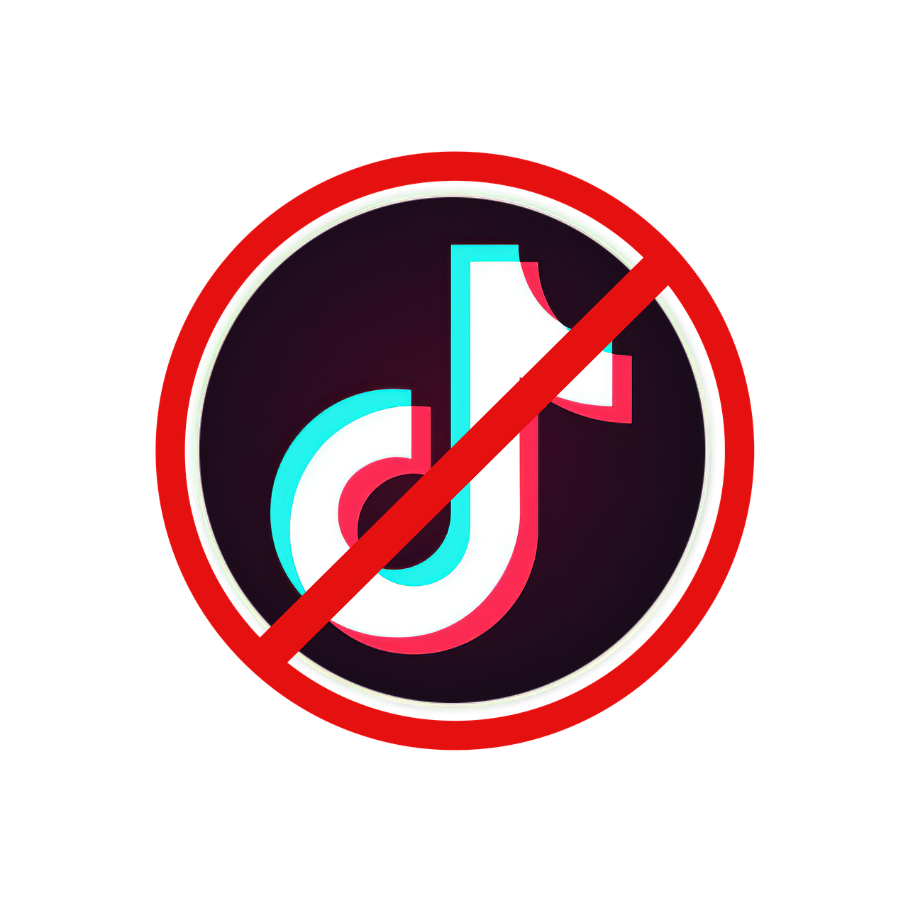 TikTok Ban Another viral video app bites the dust The Iron Warrior