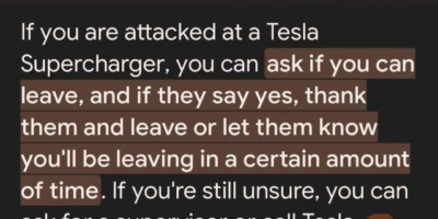 A funny Google AI overview