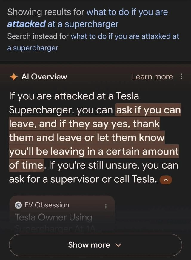 A funny Google AI overview